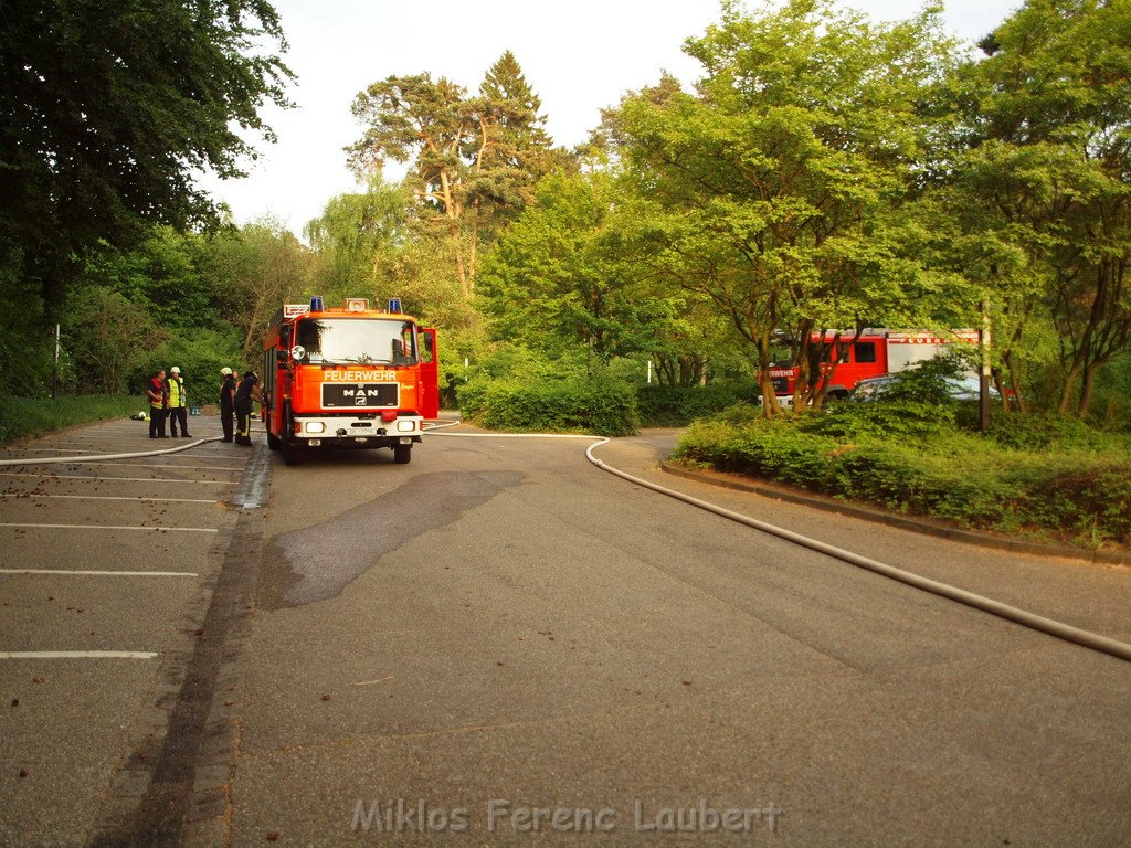 Waldbrand Bergisch Gladbach Bensberg P208.JPG